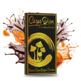 Sacred Carpe Diem Mushroom Chocolate