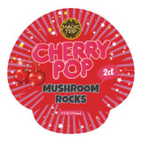 Magic Trip Mushroom Rocks