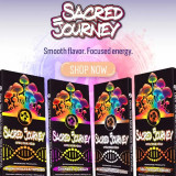 Sacred Journey Mushroom Chocolate Intro Pack