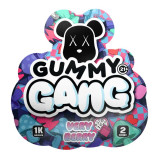 Very Berry Gummy Gang Mushroom Gummies
