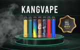 KangVape Onee Stick 1900 Product Review