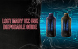 Lost Mary VIZ 55K Disposable Guide: The Future of Transparent Vape Technology?