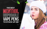 The Best Menthol Disposable Vape Pens to Stock up On