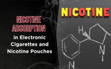 Nicotine Absorption in Electronic Cigarettes and Nicotine Pouches: A Comprehensive Overview