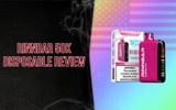 RinnBar 50K Disposable: High-Capacity Performance for Modern Vape Retailers
