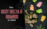 The Best Delta 8 Brands in 2024