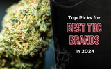 Top Picks for Best THC Brands in 2024