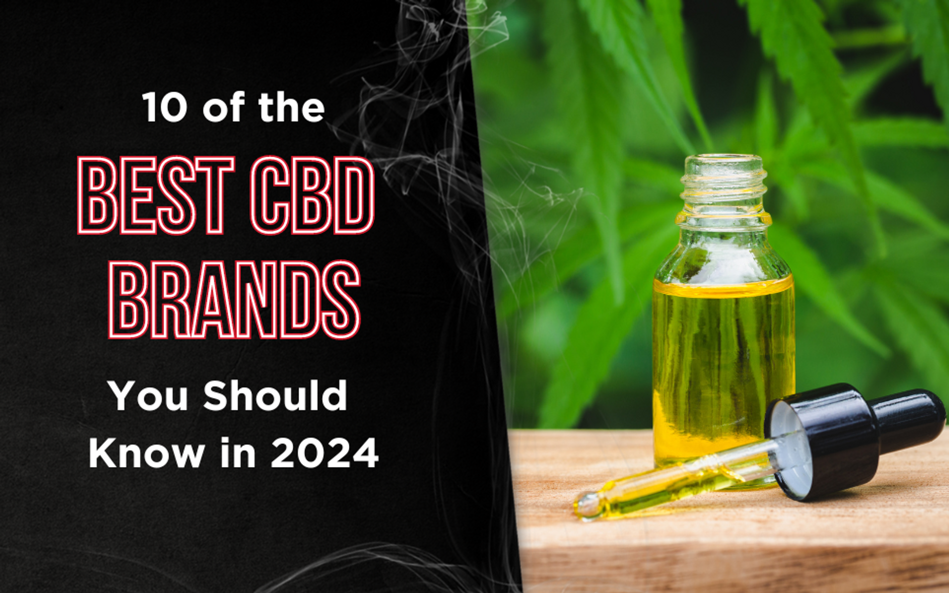 10 of the Best CBD Brands You Should Know in 2024 thumbnail image