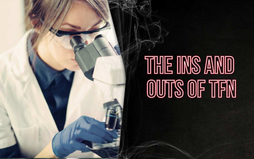 The Ins and Outs of TFN thumbnail image