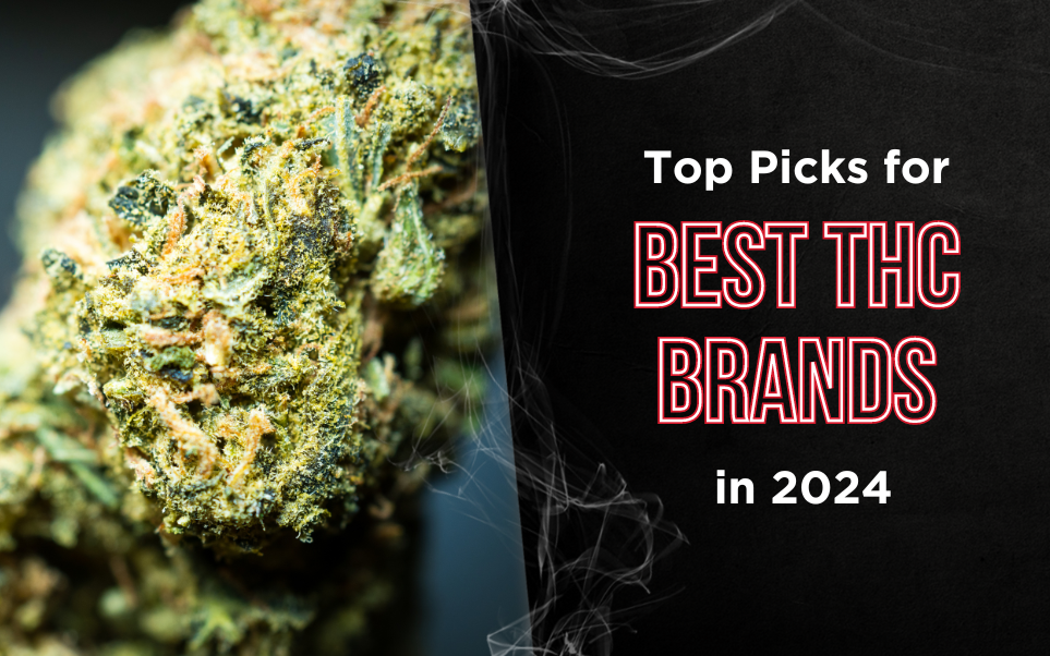 Top Picks for Best THC Brands in 2024 thumbnail image