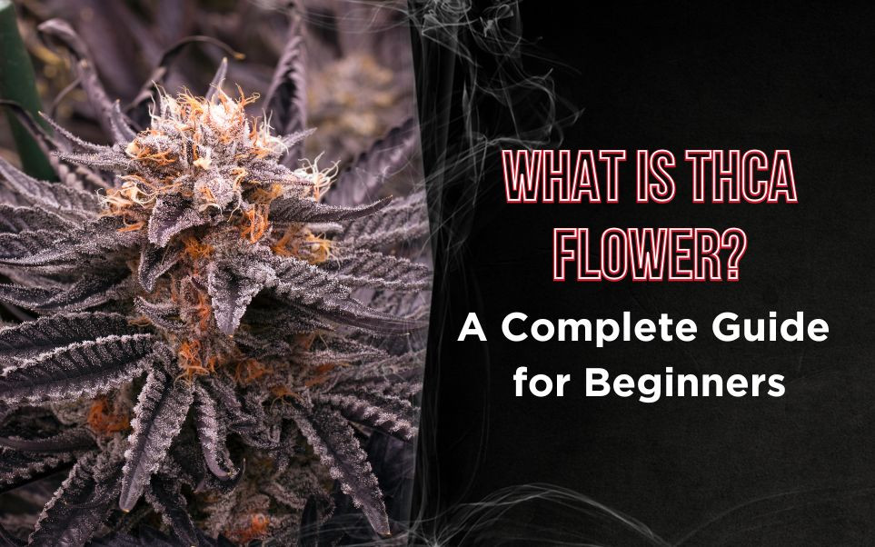 What is THCA Flower? A Complete Guide for Beginners thumbnail image