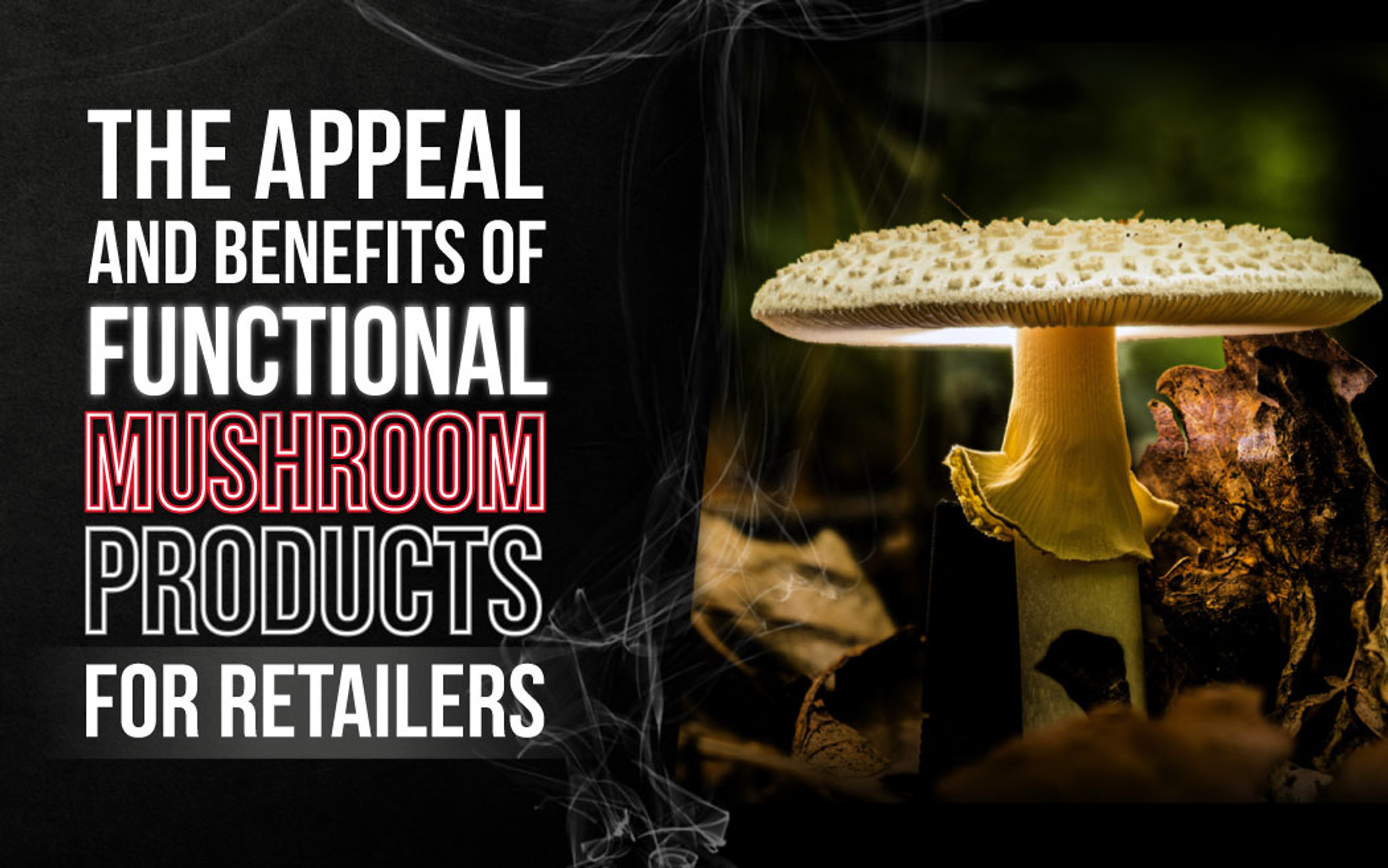 The Appeal and Benefits of Functional Mushroom (psychoactive mushroom) Products for Retailers thumbnail image