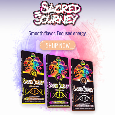 Sacred Mushroom Chocolate Buy 2 get 1 Free Intro Pack