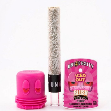University THC-A Iced Out Pre Rolls 3.5G