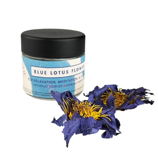 TRIPPI HIPPIE Blue Lotus Flower TRIPPI HIPPIE Blue Lotus Flower