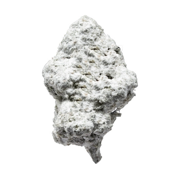 Gold Spectrum Heavy Snowballs THCA Flower 1lb Bag Gold Spectrum Heavy Snowballs THCA Flower 1lb Bag