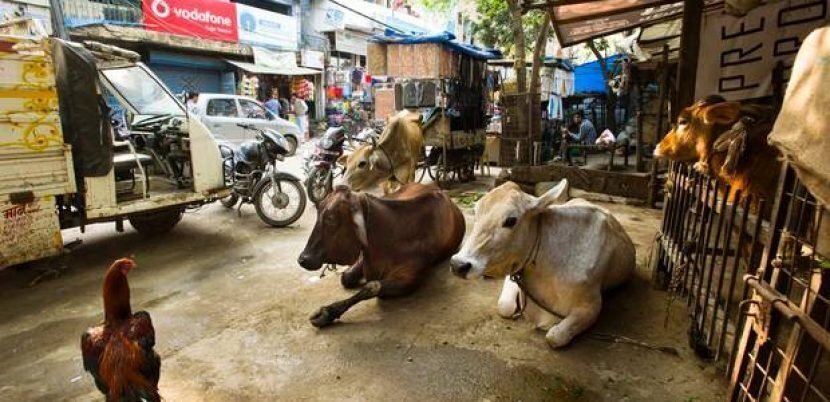 India Health Experts Ban Ecigs But Ignore 600 Million People that ...