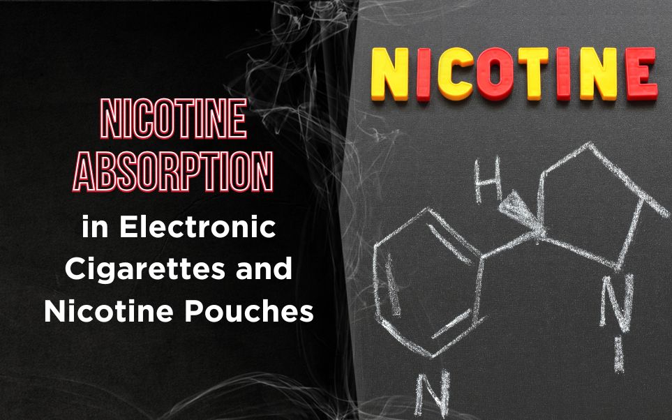 Nicotine Absorption in Electronic Cigarettes and Nicotine Pouches: A ...