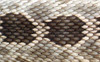 WESTERN DIAMOND RATTLESNAKE Snake Skin (label cast) Pen Blanks
