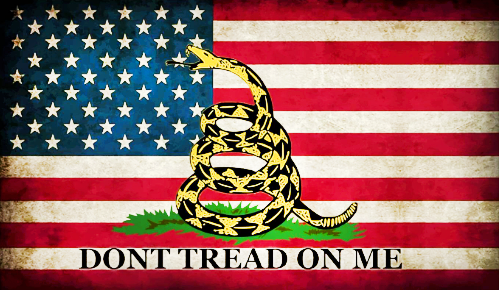 Distressed Dont Tread on Me Pen Blank