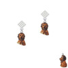 Resin Tan Lion White Clear Crystal Diamond-Shape Earrings