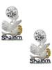 Silver Plated Shalom with Dove - Crystal Clip on Earrings: Color Choice - Red, Green, Blue, Purple, Pink, Clear, Black