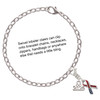 Silver Plated Patriotic Ribbon - Silver Plated Clip on Charm with Mini Year 2025 Jewelry Ideas and Examples