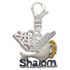 Silver Plated Shalom with Dove - Silver Plated Clip on Charm with Mini Year 2025: Year to Remember Jewelry Gift - Celebrations