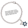 Silver Plated Blue Star Of David - Silver Plated Clip on Charm with Mini Year 2025 Jewelry Ideas and Examples