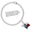 Silver Plated Texas Flag - Lone Star - Silver Plated Clip on Charm with Mini Year 2025 Jewelry Ideas and Examples