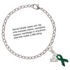 Silver Plated Green Ribbon - Silver Plated Clip on Charm with Mini Year 2025 Jewelry Ideas and Examples