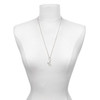Silver Plated Large Initial - A - Silver Plated Clip on Charm with Mini Year 2025