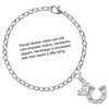 Silver Plated Horseshoe with Side Loop - Silver Plated Clip on Charm with Mini Year 2025 Jewelry Ideas and Examples