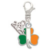 Silver Plated Irish Flag Shamrock - Silver Plated Clip on Charm with Mini Year 2025: Year to Remember Jewelry Gift - Celebrations