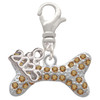 Silver Plated Large Brown Crystal Dog Bone - Silver Plated Clip on Charm with Mini Year 2025: Year to Remember Jewelry Gift - Celebrations