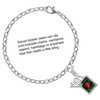 Silver Plated Red Ladybug in Shadow Box - Silver Plated Clip on Charm with Mini Year 2025 Jewelry Ideas and Examples