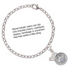 Silver Plated Ladybug - Round Seal - Silver Plated Clip on Charm with Mini Year 2025 Jewelry Ideas and Examples