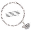 Silver Plated Crown - Oval Seal - Silver Plated Clip on Charm with Mini Year 2025 Jewelry Ideas and Examples
