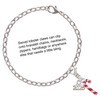 Silver Plated 3-D Red Enamel Candy Cane - Silver Plated Clip on Charm with Mini Year 2025 Jewelry Ideas and Examples