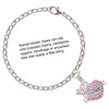 Silver Plated Sister Banner on Pink Crystal Heart - Silver Plated Clip on Charm with Mini Year 2025 Jewelry Ideas and Examples