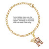 Rose Gold-tone Crystal Initial - N - Gold-tone Plated Clip on Charm with Mini Year 2025 Jewelry Ideas and Examples