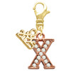 Rose Gold-tone Crystal Initial - X - Gold-tone Plated Clip on Charm with Mini Year 2025: Year to Remember Jewelry Gift - Celebrations