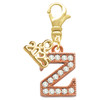Rose Gold-tone Crystal Initial - Z - Gold-tone Plated Clip on Charm with Mini Year 2025: Year to Remember Jewelry Gift - Celebrations