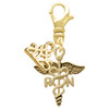 Gold-tone Registered Nurse Caduceus - Gold-tone Plated Clip on Charm with Mini Year 2025: Year to Remember Jewelry Gift - Celebrations
