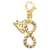 Gold-tone Infinity Rope - Gold-tone Plated Clip on Charm with Mini Year 2025: Year to Remember Jewelry Gift - Celebrations