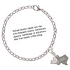 Stainless Steel Texas Strong - Silver Plated Clip on Charm with Mini Year 2025 Jewelry Ideas and Examples