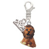Resin Tan Lion - Silver Plated Clip on Charm with Mini Year 2025: Year to Remember Jewelry Gift - Celebrations
