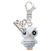 Resin White Snow Owl - Silver Plated Clip on Charm with Mini Year 2025: Year to Remember Jewelry Gift - Celebrations