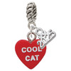 Acrylic Red "Cool Cat / Purr Fect" Heart - Silver Plated Twist Rope Bead Charm Dangle with Mini Year 2025: Year to Remember Jewelry Gift - Celebrations