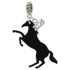 Acrylic 1.5 Black Horse - Silver Plated Twist Rope Bead Charm Dangle with Mini Year 2025: Year to Remember Jewelry Gift - Celebrations